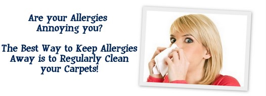 Carpet Cleaning San Rafael