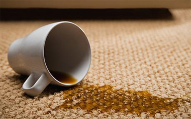 Carpet Cleaning San Rafael