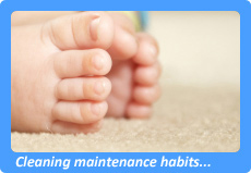 San Rafael Carpet Cleaning