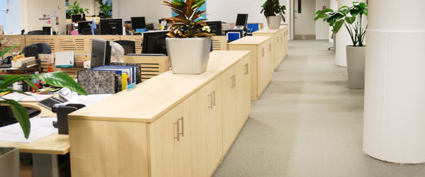 Commercial Carpet Cleaning San Rafael