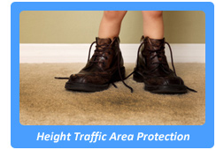 Rug Cleaning San Rafael