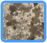 San Rafael Water Damage Restoration